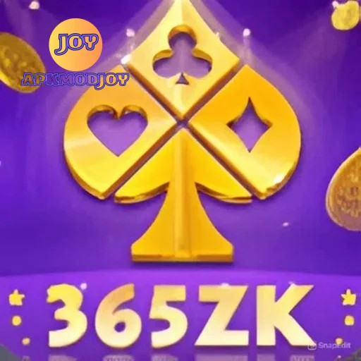 365zk 365zk