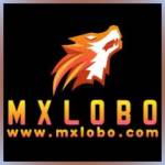 mxlobo mxlobo