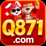 q871 q871