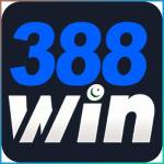 388win 388win