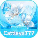 cattleya777 cattleya777