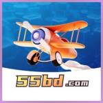 55bd 55bd