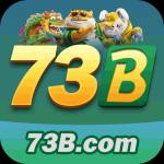 73b 73b