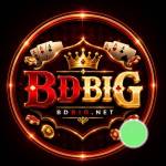 bdbig bdbig